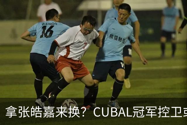 拿张皓嘉来换？CUBAL冠军控卫或被广东队看中，这可是加强版徐杰