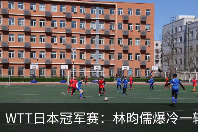 WTT日本冠军赛：林昀儒爆冷一轮游，激战5局之后2分惜败出局